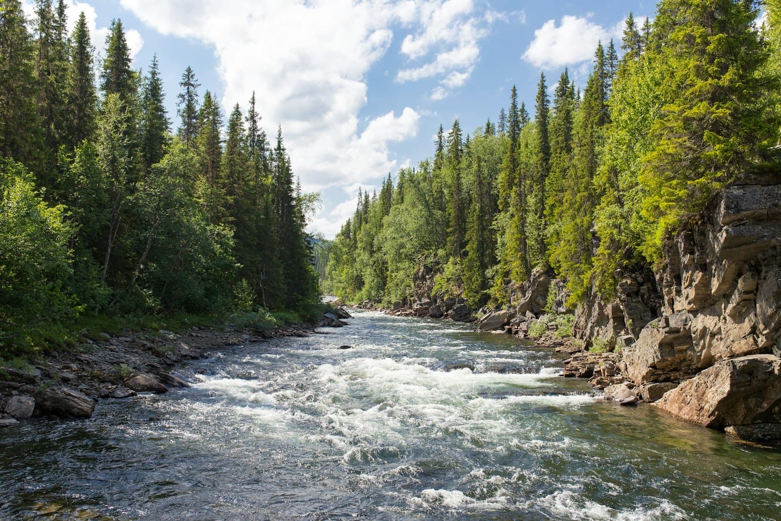 A clear river running through a forested valley under a cloudy sky